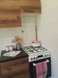 Il comprend une cuisine équipée d'une cuisinière et d'un comptoir. dans l'établissement mieszkanie w Giżycku, à Giżycko