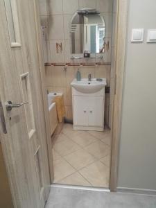 La salle de bains est pourvue d'un lavabo et d'un miroir. dans l'établissement mieszkanie w Giżycku, à Giżycko