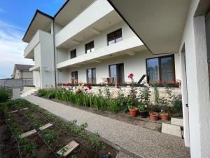 a house with flowers and plants in front of it at Jovis Domus in Eforie Sud