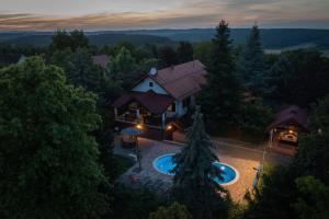 z góry widok na dom w lesie w obiekcie Villa Danica w mieście Ovčara