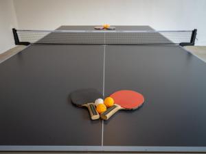 Tenis stołowy w obiekcie Villa Danica lub pobliżu