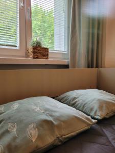 uma cama num quarto com uma janela em My Lake Apartamenty em Ełk