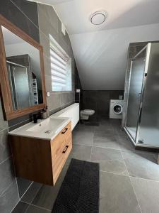 ein Bad mit einem Waschbecken, einer Dusche und einem WC in der Unterkunft Apartmány Tobias in Běšiny