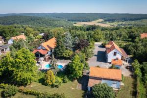 widok z lotu ptaka na dom z basenem w obiekcie Villa Danica w mieście Ovčara