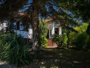 Ogród w obiekcie Villa Danica