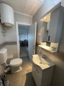 a bathroom with a white toilet and a sink at Smeštaj Nedić Karaula in Zlatibor +26 photos