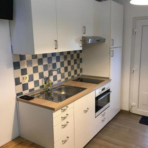 a small kitchen with a sink and a stove at Apartma BAUI Koper in Koper