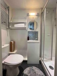 a small bathroom with a toilet and a shower at Abercrymlyn barn in Llanwrda