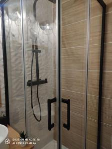 a shower stall with a hose in a bathroom at Beau studio cabine cozy in Chamrousse