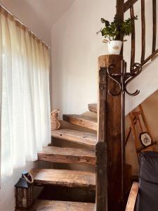 a set of stairs with a potted plant on top at Inside, The Village- Atelier in Tunari +31 photos