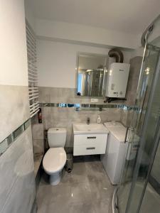 Nysa-Rynek في نيسا: حمام مع مرحاض ومغسلة ودش