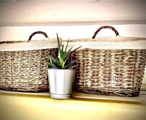 two baskets and a potted plant on a shelf at Dobré časy - Studio I. in Banská Štiavnica +13 photos