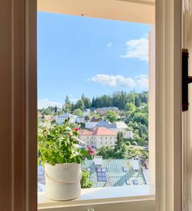 a window with a potted plant on a window sill at Dobré časy - Studio I. in Banská Štiavnica