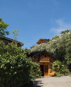 une maison avec un arbre au sommet dans l'établissement Hotel Belmar, à Monteverde Costa Rica