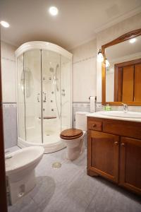 a bathroom with a shower and a toilet and a sink at CAMINODEHEROS in Avilés