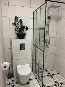 a bathroom with a toilet and a glass shower stall at Dom na Północy in Władysławowo