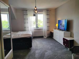 1 dormitorio con 1 cama, TV y ventana en Noclegi u Maxa, en Niewierz