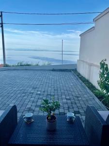 eine Terrasse mit einem Tisch und einer Pflanze darauf in der Unterkunft Studio Apartman Lana 3 in Ičići