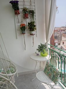 a balcony with a table and potted plants on the wall at Casa Amari alla Zisa HOSTEL in Palermo
