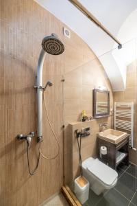 a bathroom with a shower with a toilet and a sink at Central Studios Hermannstadt in Sibiu