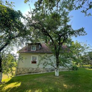 une petite maison avec un arbre dans la cour dans l'établissement Willa Pod Dębem, à Koczarki