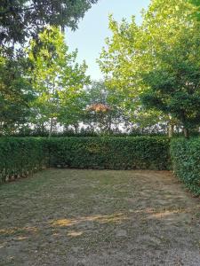 Zahrada ubytování Glamping Agricampeggio Tognoni