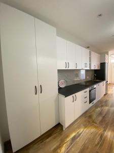 Kuchyň nebo kuchyňský kout v ubytování Villa Leona Palushaj