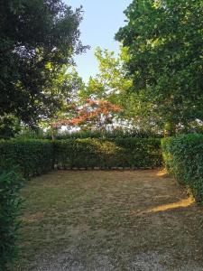 Zahrada ubytování Glamping Agricampeggio Tognoni