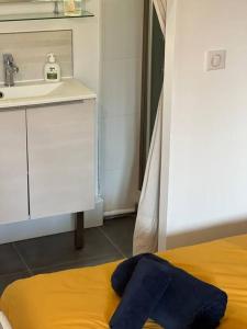 Ein Badezimmer in der Unterkunft Superbe appartement avec cheminée