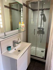 a bathroom with a sink and a shower at Superbe appartement avec cheminée in Fontainebleau