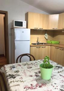 una cocina con una mesa con una planta en Vukčević apartman, en Sutomore