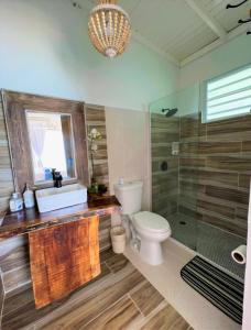 uma casa de banho com um WC, um chuveiro e um lavatório. em CASA BONITA em Maunabo