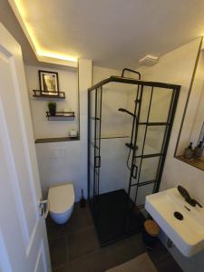 ein Bad mit einer Dusche, einem WC und einem Waschbecken in der Unterkunft Neumühler Hof - moderne Ferienwohnung "Janica" mit ruhiger Lage zum Garten raus mit kostenfreien Wlan und Netflix in Schwerin