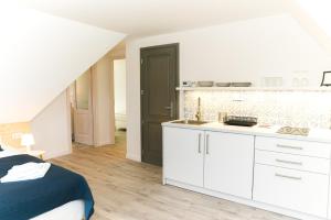 Kuchyňa alebo kuchynka v ubytovaní Raba92 Apartman House