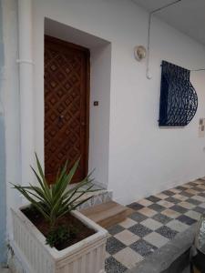 una planta en una olla delante de una puerta en Maison à Hergla, Sousse, Tunisie en Harqalah