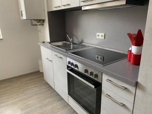 uma cozinha com um lavatório e um fogão forno superior em Ferienwohnung Malisa em Bad Bibra