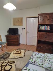 a living room with a tv and a book shelf at Gabi vendégház in Balatonkeresztúr