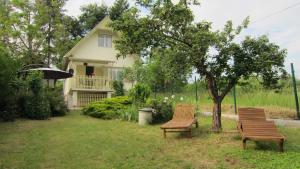 two benches sitting in the yard in front of a house at Csaford Lodge in Felsőhegy