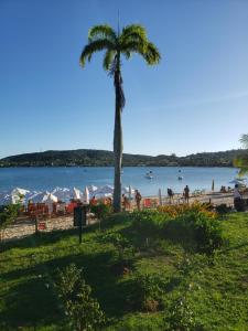 a palm tree on a beach with the water at 5to Elemento House in Búzios