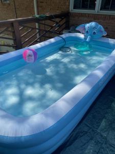 uma piscina insuflável azul com um brinquedo em Caribbean Comfort Zone em Chesterfield