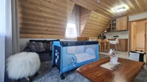 Kuchyň nebo kuchyňský kout v ubytování Pokoje Kubikowe