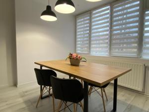 a dining room table with chairs and a potted plant on it at Rozalia Apartman in Odorheiu Secuiesc +1 photo