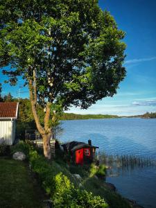 uma casa vermelha debaixo de uma árvore ao lado de um lago em Private lakefront property em Söderköping