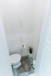 a white bathroom with a toilet and a rug at Rigas street cozy apartment, city centre in Daugavpils