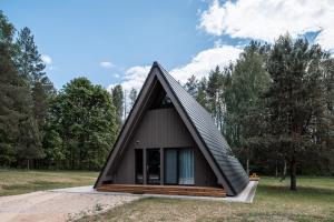 a triangular house with a black roof in a field at Namas MIŠKE 