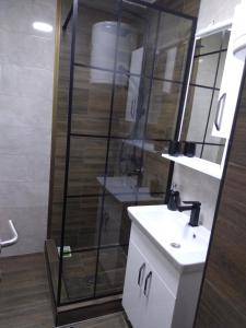 een badkamer met een wastafel en een glazen douche bij Holiday apartament 3 in Niš