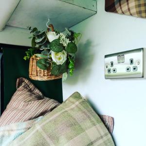 a plant in a basket on a wall next to a lightswitch at Annie The Ambulance (Drive away campervan) in Skewen