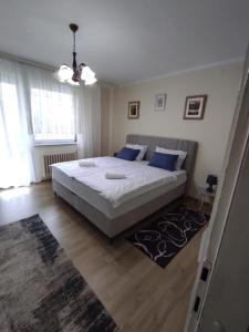 ヴィンコヴツィにあるEma Apartmaniのベッドルーム(青い枕の大きな白いベッド付)
