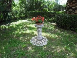 Zahrada ubytování Guesthouse Mira