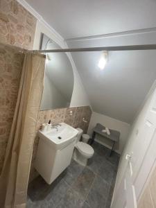 La petite salle de bains est pourvue de toilettes et d'un lavabo. dans l'établissement Casa Enisala, à Enisala